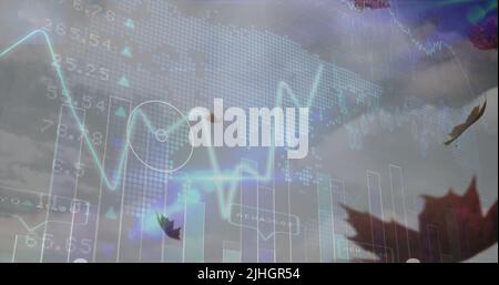 Image of financial data processing over leaves falling and sky Stock Photo