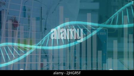 Image of spinning dna strand an data processing over caucasian scientist in laboratory Stock Photo