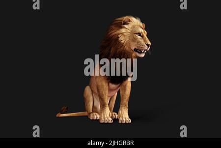 3d Illustration of Dangerous Lion  Acts and Poses Isolated on Black Background with Clipping Path, Project Big Cat Wildlife. Stock Photo