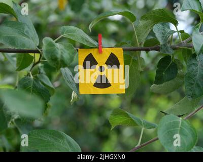 A yellow paper note with a radiation warning sign on it hanging on a tree branch with a clothes pin. Close up.