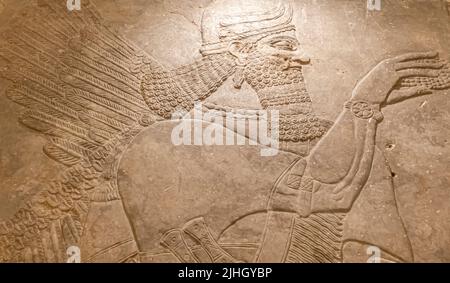 Deity by the sacred tree. Detail. Relief from the palace of Ashurnasirpal II At Kalhu, (Nimrud) - Limestone - IX century B.C. Hermitage museum Stock Photo