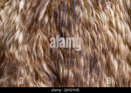 Beige straight artificial fur close up for texture and background Stock Photo
