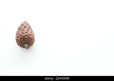 Conifer tree fruit idea concept, pine cone isolated on white background. Unpeeled pine cone. Top view, above. Copy space. Horizontal photo. Empty area Stock Photo