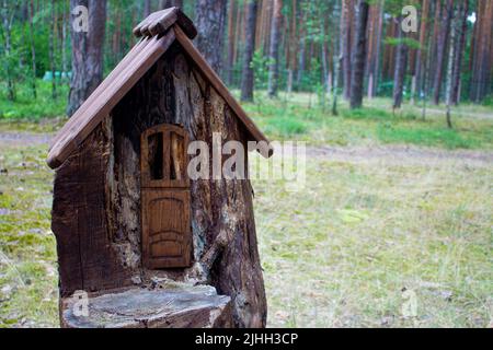 House in a stump in a pine forest. Summer sunny day. Housing for forest animals with art elements. Stock Photo