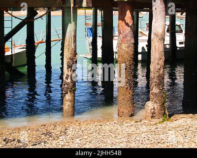 Image old pier piles encrusted with seal-life at Nelson, New Zealand. Stock Photo