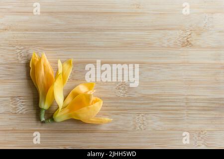 Two yellow-colored plucked flowers on wooden background. These flowers are called as Michelia champaca also known as sonchampa which are very fragrant Stock Photo