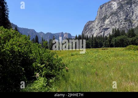 The view from the Cook's Meadow Loop in Yosemite Valley inside Yosemite National Park. Taken during a bright, cloudless early summer afternoon. Stock Photo