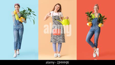 Collage of female gardeners with plants on colorful background Stock Photo