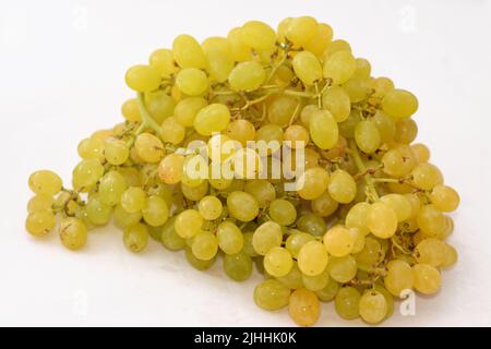pile of fresh green seedless grapes fruit isolated on white background, selective focus of a bunch of green grapes, healthy fresh food fruits concept Stock Photo