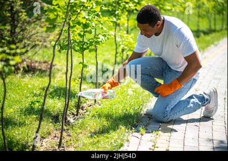 Man crouched watering small tree in park Stock Photo