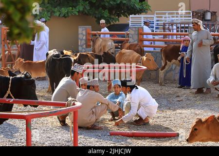 Nizwa, Oman, December 2015: omani men at the Nizwa goat market Stock Photo