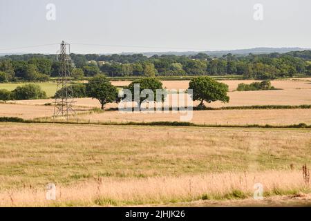 Lewes UK 19th July 2022 - Parched fields by Arlington Reservoir near Lewes in East Sussex during the current heatwave weather as an extreme red weather warning has been issued for today throughout parts of Britain : Credit Simon Dack / Alamy Live News Stock Photo