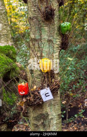 Sheffield, UK - 31 Oct 2019: Cute tiny jack o lanterns made from carved sweet red, yellow and green bell peppers at Eccleshall Woods Halloween Trail Stock Photo