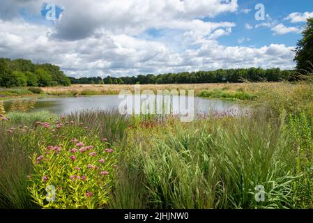 The Worsley Welcome garden and lake at RHS Bridgewater, a new garden in Greater Manchester, England. July, 2022. Stock Photo