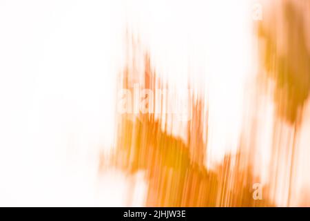 Orange fall natural trees bokeh. Bright yellow and red trees fall bokeh background Stock Photo