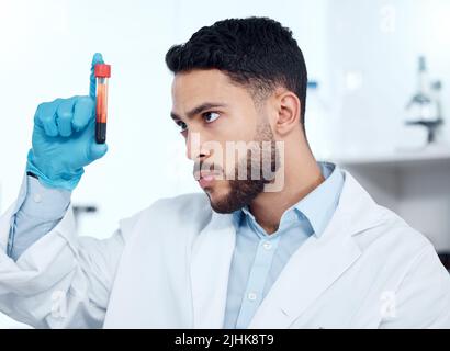One handsome young mixed race man wearing gloves and a labcoat and looking at a medical blood sample in a test tube in a lab. A male scientist looking Stock Photo