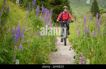 nice senior woman riding her electric mountain bike between blooming lupins in a mountain meadow in the silvretta mountains above lake, Tirol, Austria Stock Photo