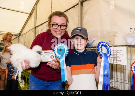 Prize winning Silkie chicken at an agricultural show. Stock Photo
