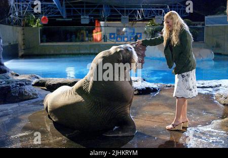 50 First Dates (2004) Drew Barrymore 50fd 001-fj Stock Photo - Alamy