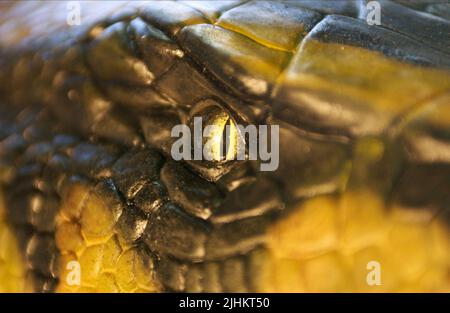 SNAKE EYE, ANACONDAS: THE HUNT FOR THE BLOOD ORCHID, 2004 Stock Photo