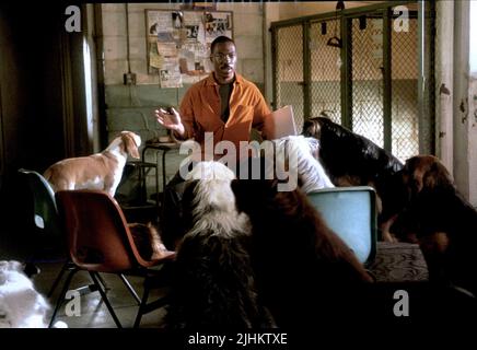 DR. DOLITTLE 2, Eddie Murphy, 2001, TM and Copyright (c)20th Century ...