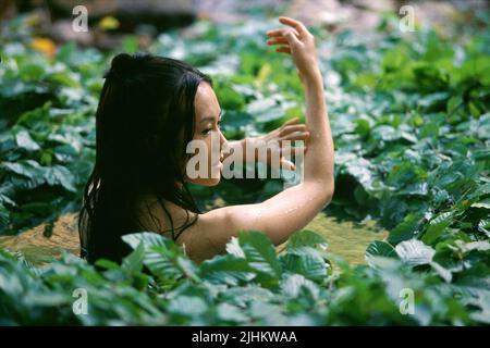 ZIYI ZHANG, HOUSE OF FLYING DAGGERS, 2004 Stock Photo