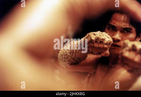 TONY JAA, ONG-BAK: THE THAI WARRIOR, 2003 Stock Photo