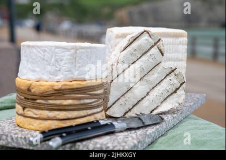 Four famous cheeses of Normandy, squared pont l'eveque, round camembert cow cheese, yellow livarot, heartshaped neufchatel and view on promenade and a Stock Photo