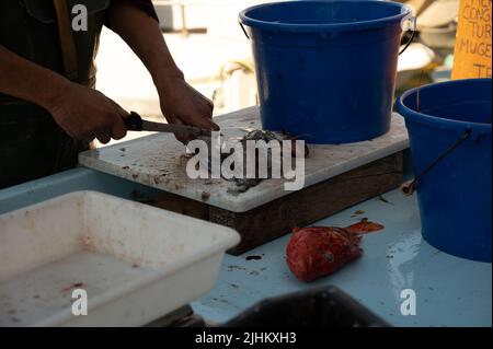 Catch of the day , fresh fish for sale on daily outdoor fisherman's market in small old port in Cassis, Provence, France Stock Photo