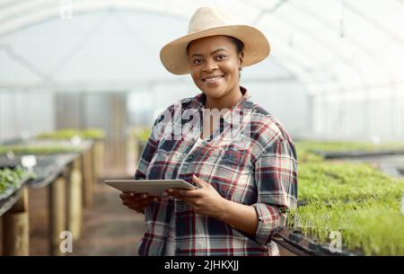 One beautiful african american female farm worker working in an agricultural greenhouse. A confident black woman using a tablet while checking on the Stock Photo