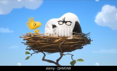 WOODSTOCK, SNOOPY, SNOOPY AND CHARLIE BROWN: THE PEANUTS MOVIE, 2015 Stock Photo