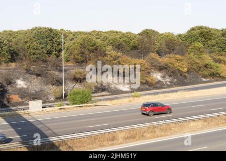 London UK, 19th July 2022.  huge bush fire put out by fire fighter this after near Dartford Heather off A2 south bound Kent, as England battling with extreme summer heatwave. Credit: glosszoom/Alamy Live News Stock Photo