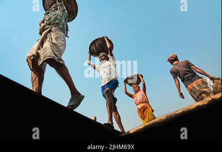 Women workers carrying baskets filled with coal on their head in the Gabtoli region of Dhaka Stock Photo