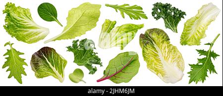 Falling salad leaves isolated on white background Stock Photo