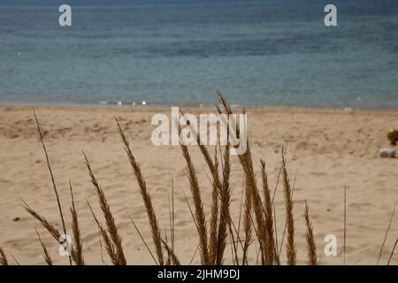 landscape of the beach at Pescoluse, also known as Salento Maldives, in Apulia region, Italy Stock Photo