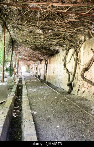 Cartagena, Murcia, Spain- July 18, 2022: Beautiful gardens of Beltri House in Cartagena Stock Photo