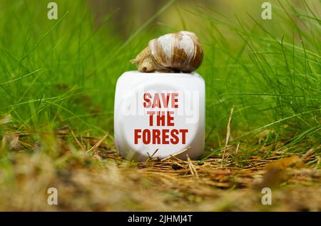 Ecological concept. On the green grass there is a white cube with a snail, on the cube there is an inscription - Save the forest Stock Photo