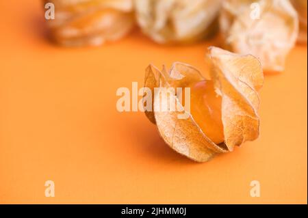 physalis fruit with skin on orange background Stock Photo