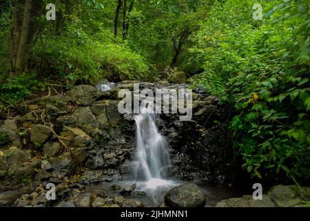 Small water stream coming from the hill and flowing on the rocks during monsoon rainy season with greenery all around. Stock Photo