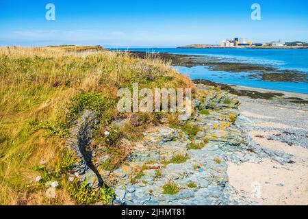 Wylfa Nuclear power station on the coast of Anglesey, North Wales, UK, seen across Cemlyn bay Stock Photo