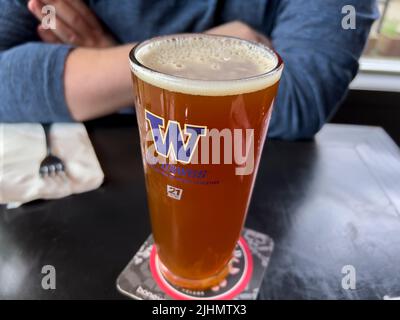 Seattle, WA USA - circa June 2022: Close up view of a frothy beer in a University of Washington glass inside a local bar. Stock Photo