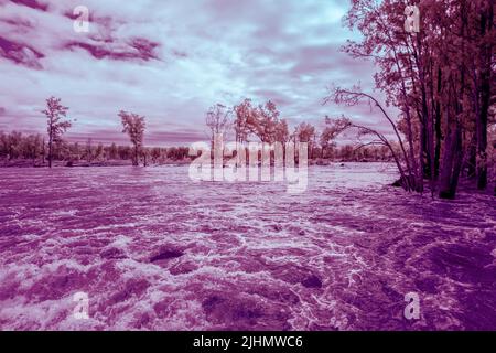 Infrared photograph of flooding in the Nepean River near the Great River Walk and Weir Reserve in Penrith in New South Wales in Australia Stock Photo