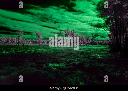 Infrared photograph of flooding in the Nepean River near the Great River Walk and Weir Reserve in Penrith in New South Wales in Australia Stock Photo