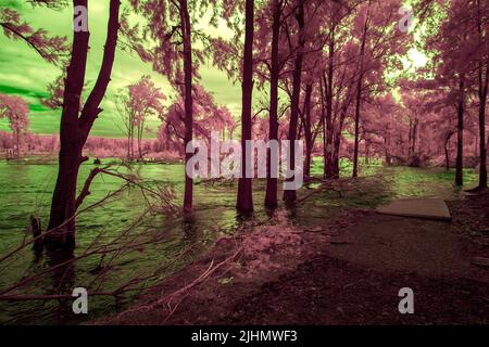 Infrared photograph of flooding in the Nepean River near the Great River Walk and Weir Reserve in Penrith in New South Wales in Australia Stock Photo