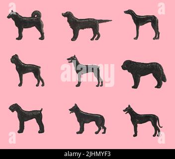 Silhouettes of purebred dogs on a pink background, isolated Stock Photo