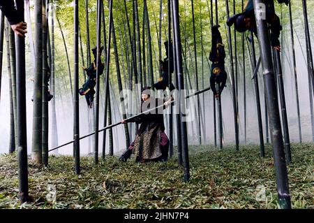 ZHANG ZIYI, HOUSE OF FLYING DAGGERS, 2004 Stock Photo