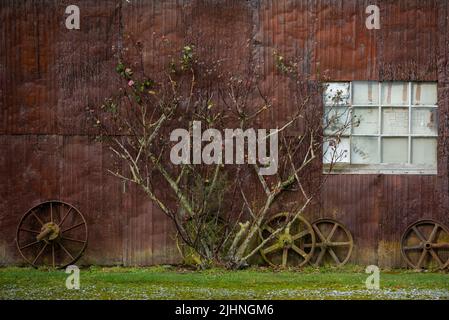 A rusted, corrugated tin wall of a farm outbuilding south of Christchurch, New Zealand Stock Photo