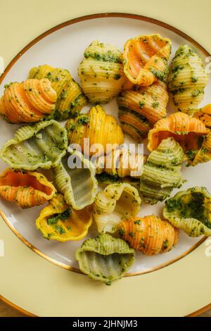 pesto pasta with multicolor Sea Conch Shells 