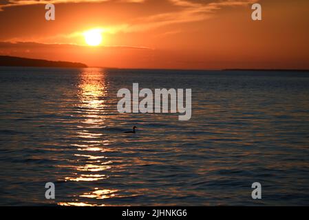 Silhouette of a duck as the sun sets over Lake Superior in the Apostle Islands National Lakeshore. Stock Photo
