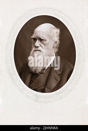 Portrait of Charles Darwin Stock Photo